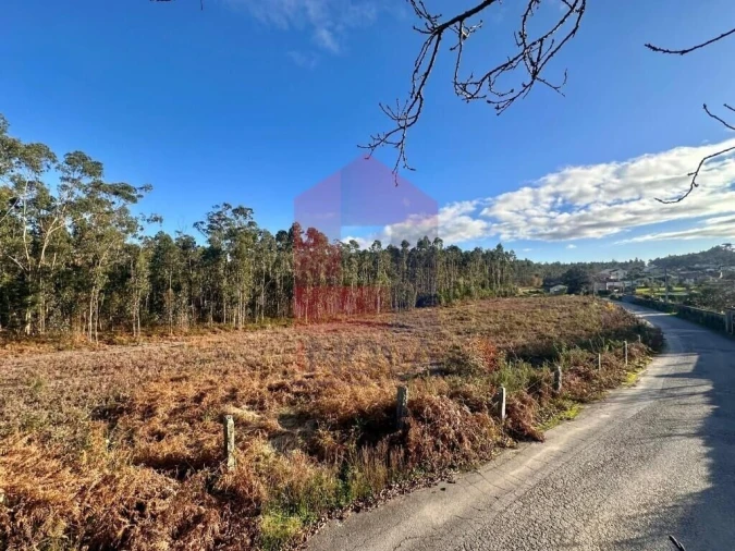 Terreno para Venda em Alheira e Igreja Nova Foto 14