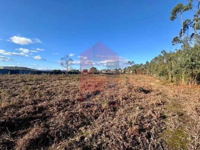 Terreno para Venda em Alheira e Igreja Nova Foto 4