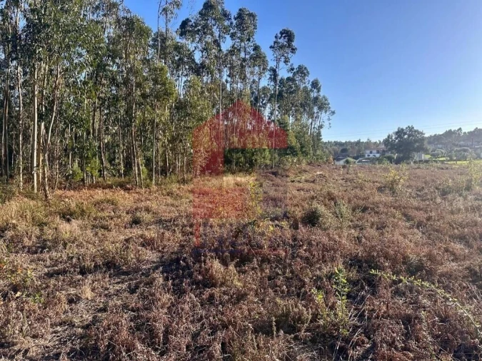 Terreno para Venda em Alheira e Igreja Nova Foto 9