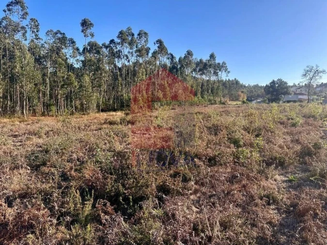 Terreno para Venda em Alheira e Igreja Nova Foto 10