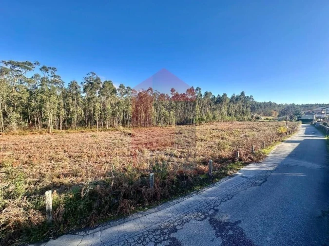 Terreno para Venda em Alheira e Igreja Nova Foto 19
