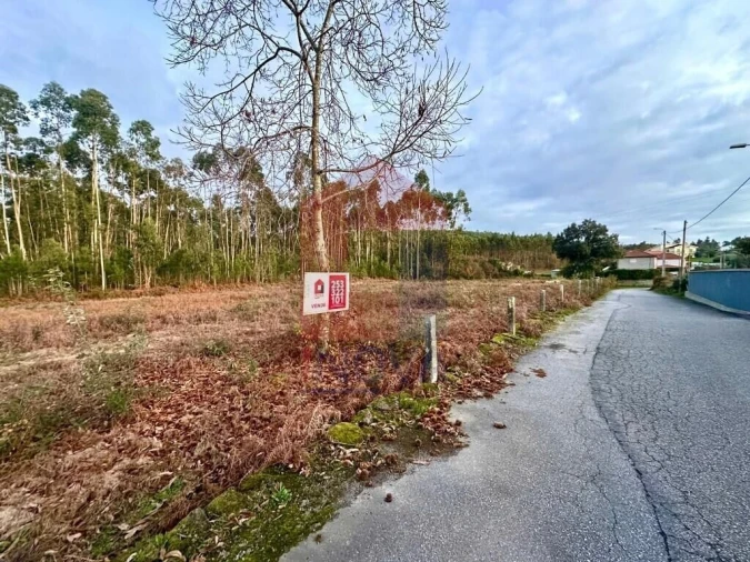 Terreno para Venda em Alheira e Igreja Nova