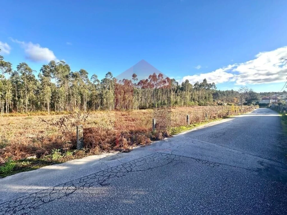 Terreno para Venda em Alheira e Igreja Nova Foto 20