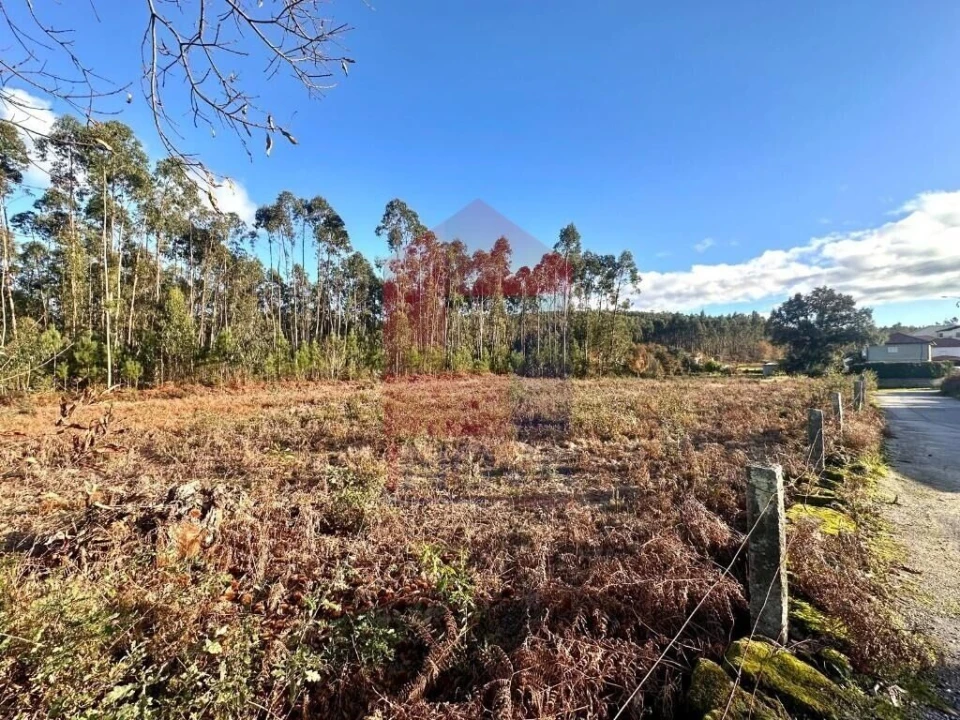 Terreno para Venda em Alheira e Igreja Nova Foto 17