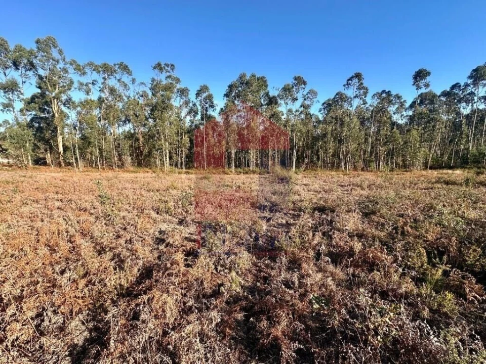 Terreno para Venda em Alheira e Igreja Nova Foto 11