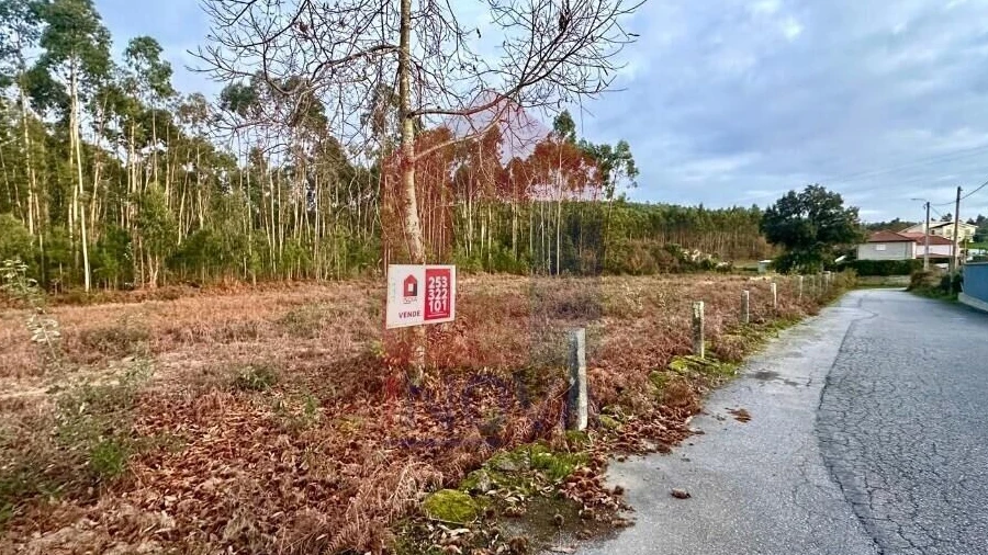 Terreno para Venda em Alheira e Igreja Nova