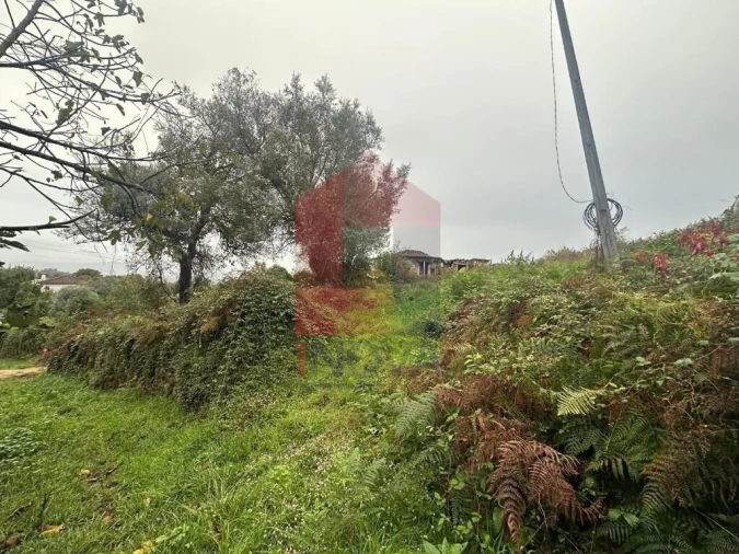 Terreno para Venda em Esqueiros, Nevogilde e Travassós Foto 14