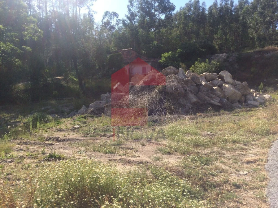 Terreno para Venda em Pico de Regalados, Gondiães e Mós Foto 8