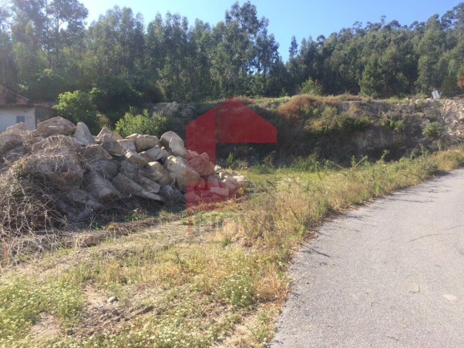 Terreno para Venda em Pico de Regalados, Gondiães e Mós Foto 9
