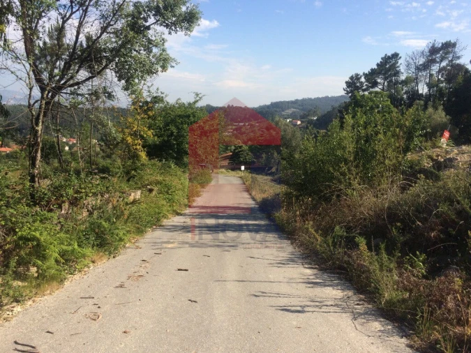 Terreno para Venda em Pico de Regalados, Gondiães e Mós Foto 13
