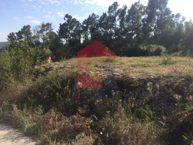 Terreno para Venda em Pico de Regalados, Gondiães e Mós Foto 12