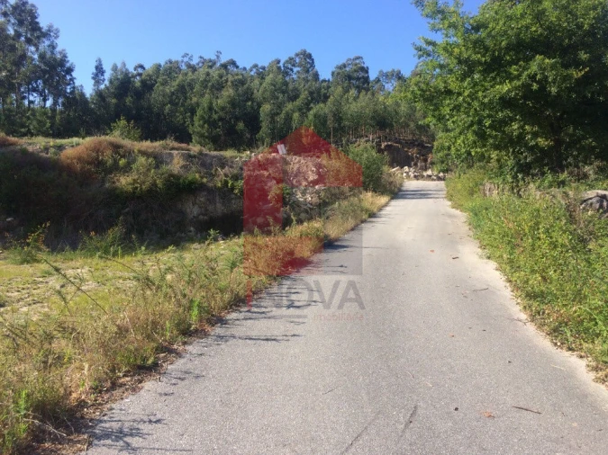 Terreno para Venda em Pico de Regalados, Gondiães e Mós Foto 6