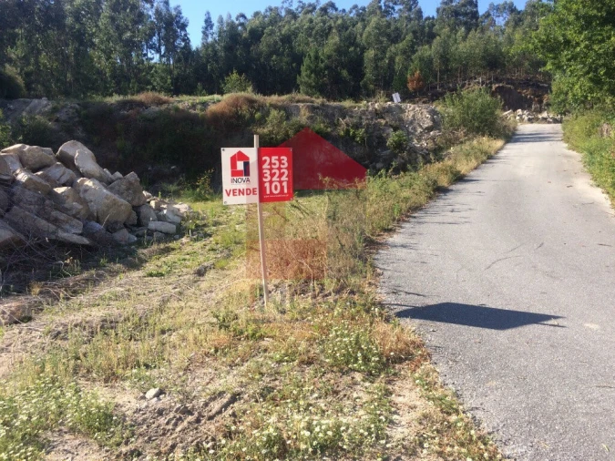 Terreno para Venda em Pico de Regalados, Gondiães e Mós Foto 10