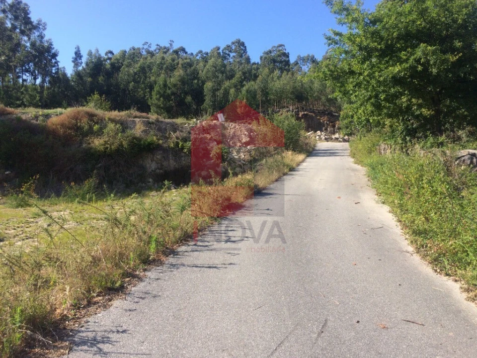 Terreno para Venda em Pico de Regalados, Gondiães e Mós Foto 6