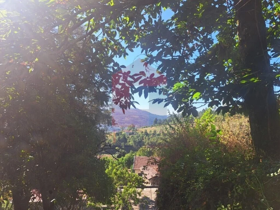 Moradia T0 para Venda em Oriz (Santa Marinha) e Oriz (São Miguel) Foto 10