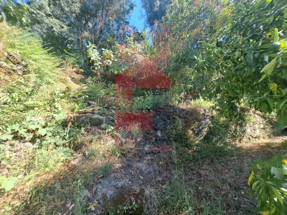 Moradia T0 para Venda em Oriz (Santa Marinha) e Oriz (São Miguel) Foto 8