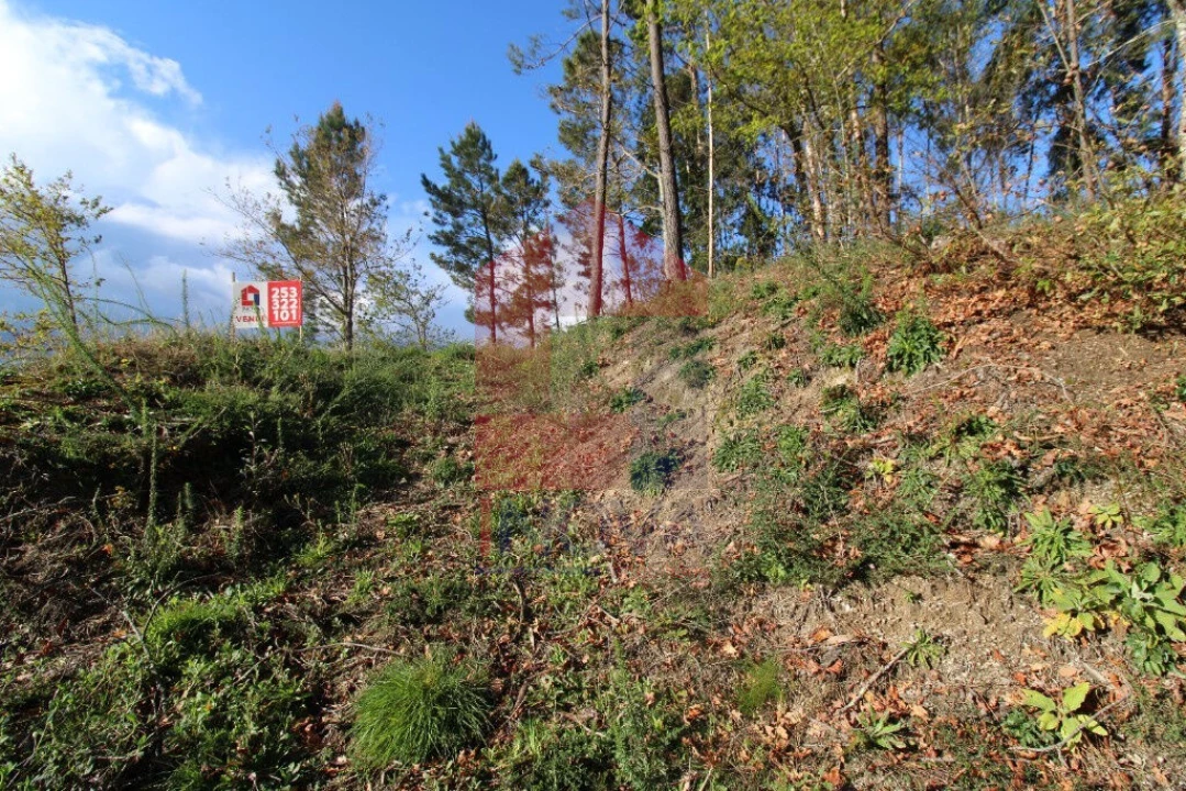 Terreno para Venda em Sande, Vilarinho, Barros e Gomide Foto 10