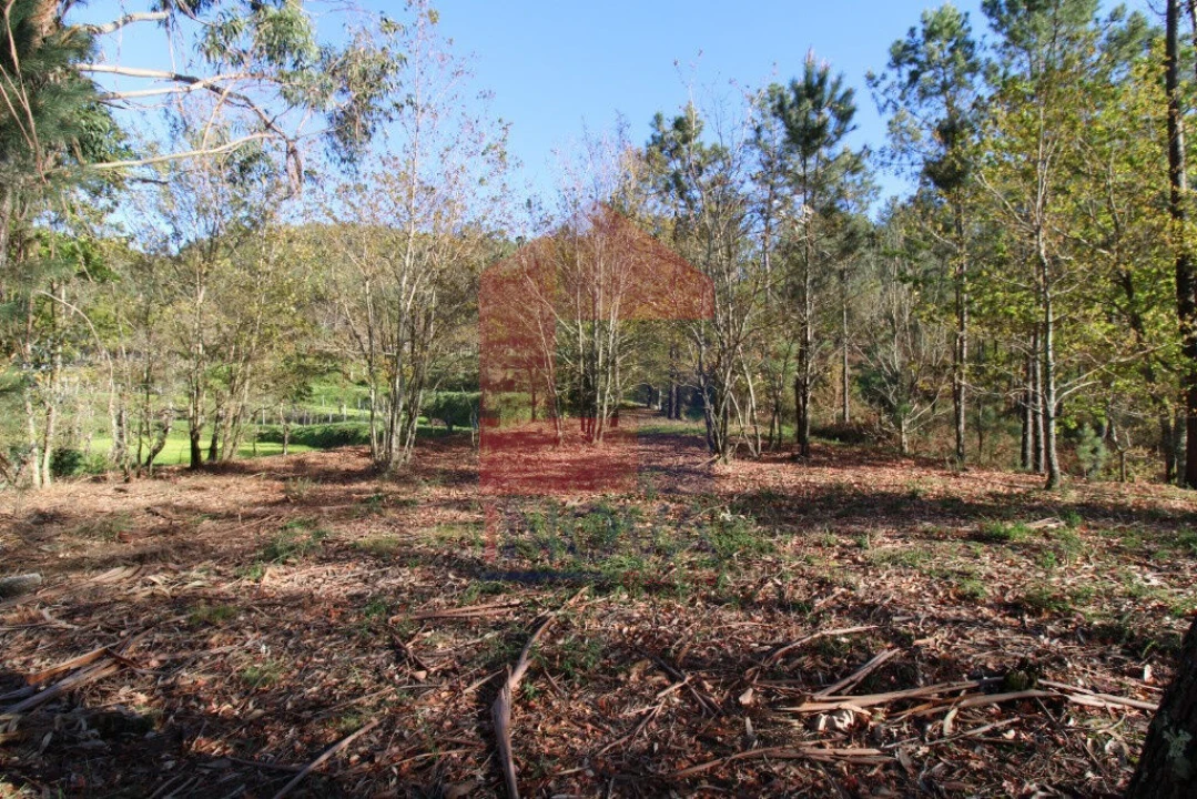 Terreno para Venda em Sande, Vilarinho, Barros e Gomide Foto 18