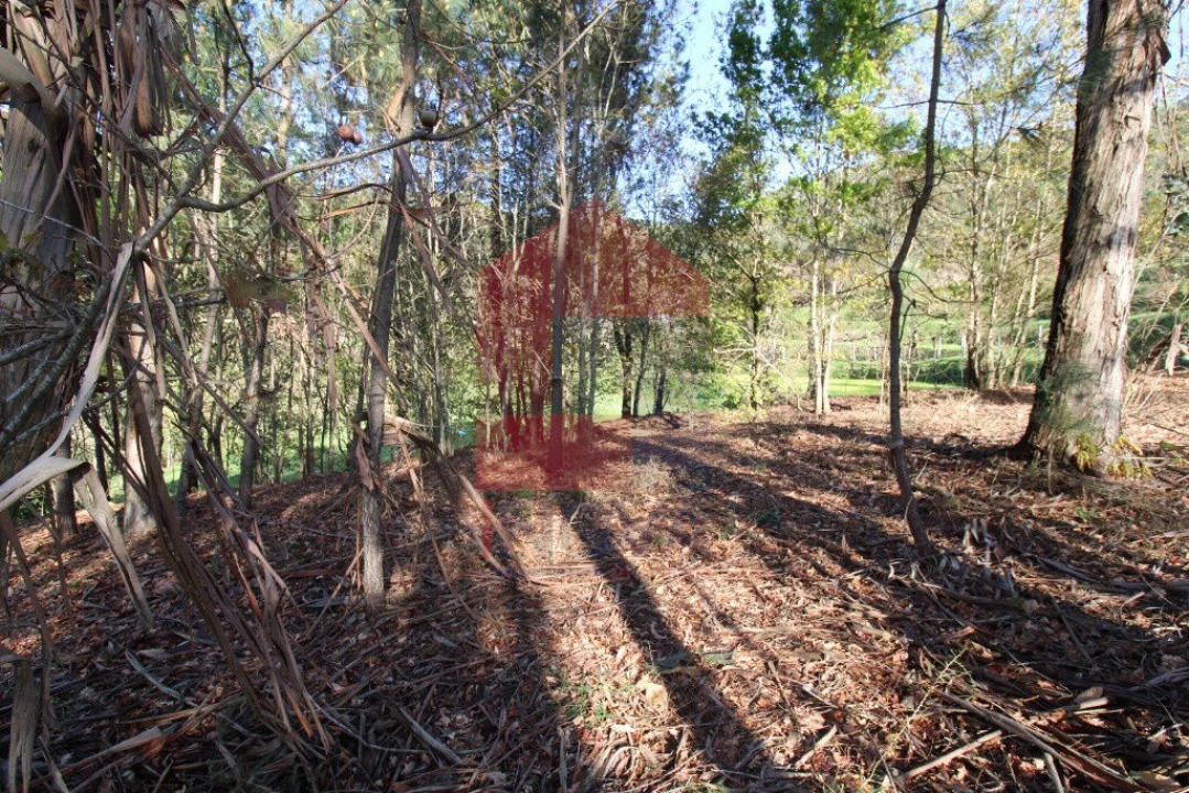 Terreno para Venda em Sande, Vilarinho, Barros e Gomide Foto 21