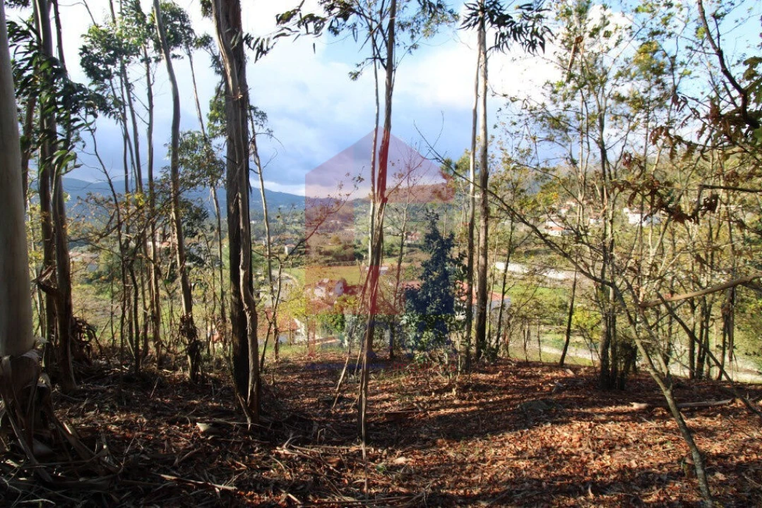 Terreno para Venda em Sande, Vilarinho, Barros e Gomide Foto 20
