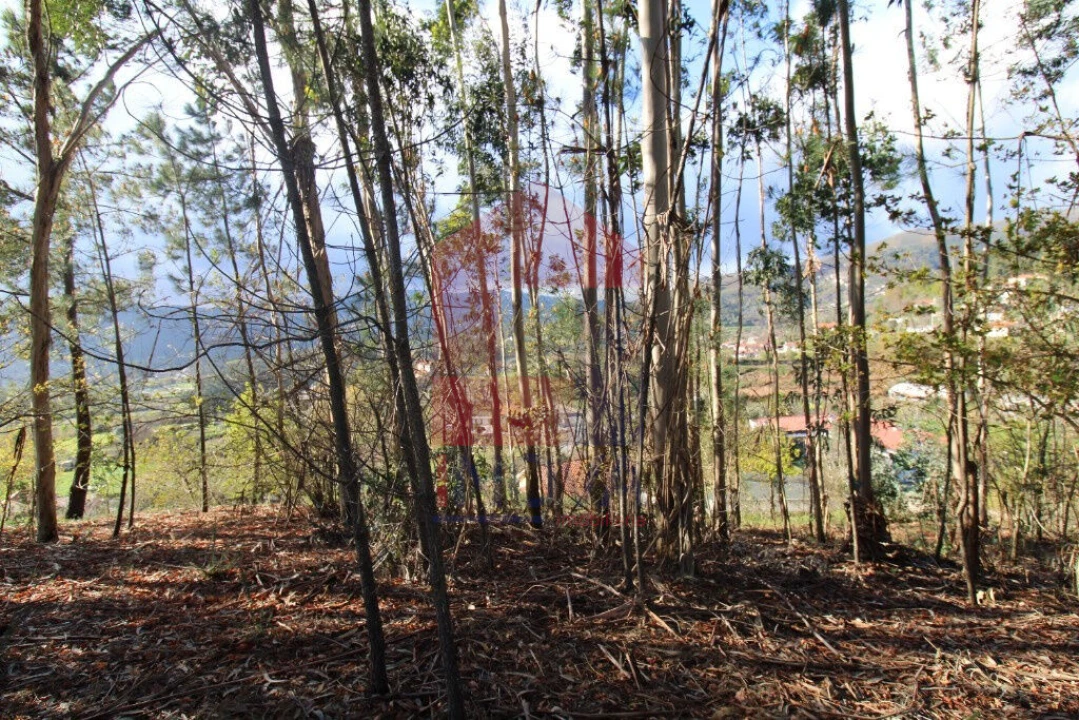 Terreno para Venda em Sande, Vilarinho, Barros e Gomide Foto 19