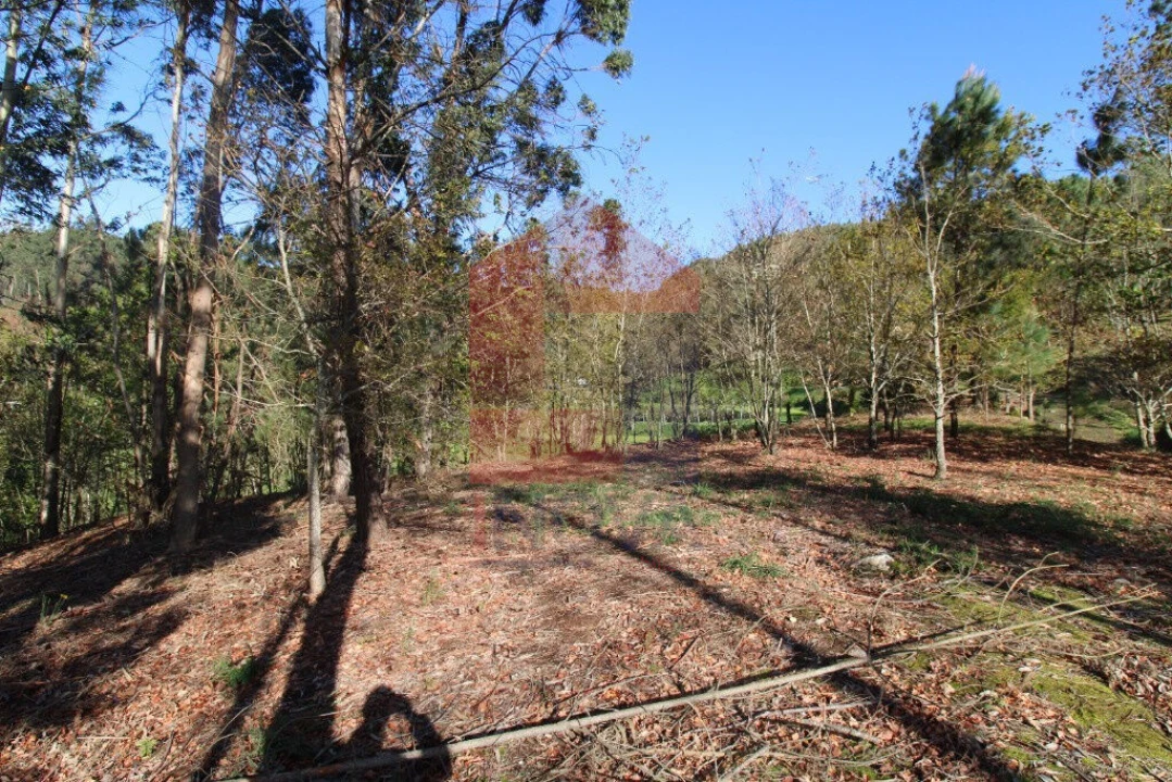 Terreno para Venda em Sande, Vilarinho, Barros e Gomide Foto 17