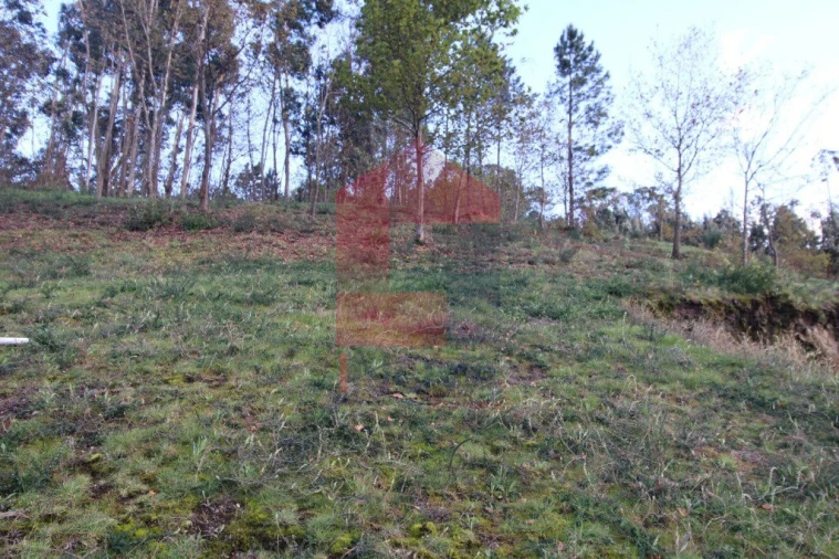 Terreno para Venda em Sande, Vilarinho, Barros e Gomide Foto 31