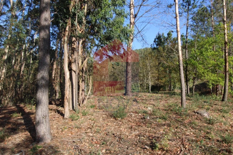 Terreno para Venda em Sande, Vilarinho, Barros e Gomide Foto 13