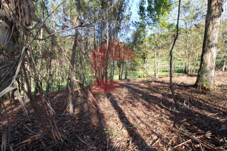 Terreno para Venda em Sande, Vilarinho, Barros e Gomide Foto 21