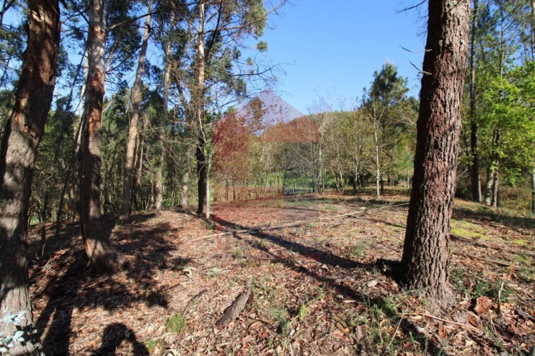 Terreno para Venda em Sande, Vilarinho, Barros e Gomide Foto 16