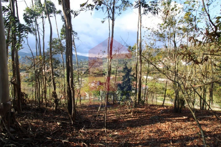 Terreno para Venda em Sande, Vilarinho, Barros e Gomide Foto 20