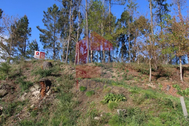 Terreno para Venda em Sande, Vilarinho, Barros e Gomide Foto 6