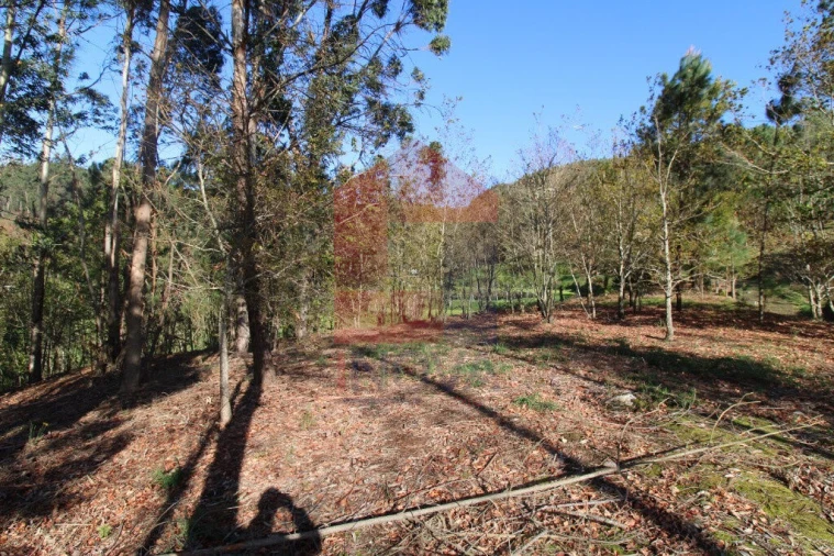 Terreno para Venda em Sande, Vilarinho, Barros e Gomide Foto 17