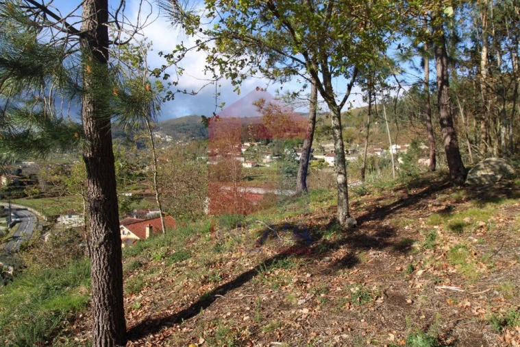 Terreno para Venda em Sande, Vilarinho, Barros e Gomide Foto 12