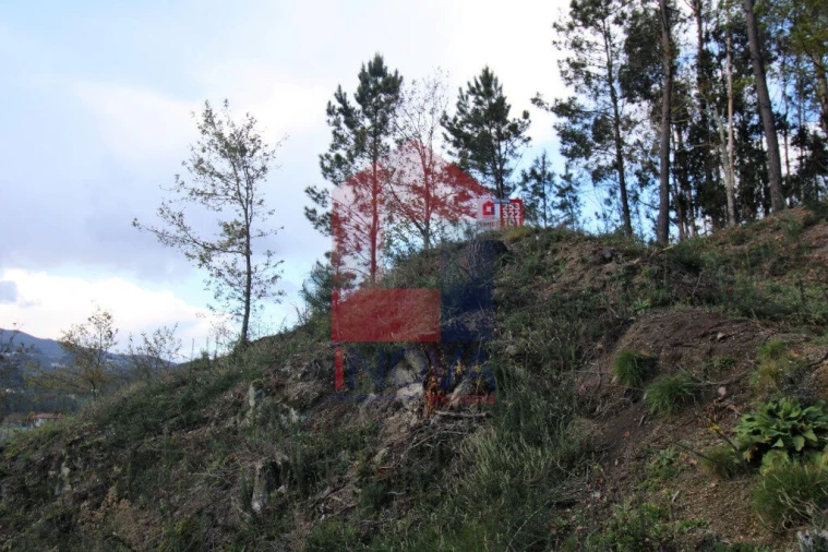 Terreno para Venda em Sande, Vilarinho, Barros e Gomide Foto 48