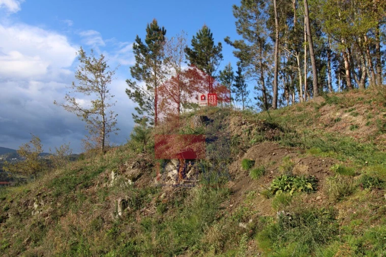 Terreno para Venda em Sande, Vilarinho, Barros e Gomide Foto 2