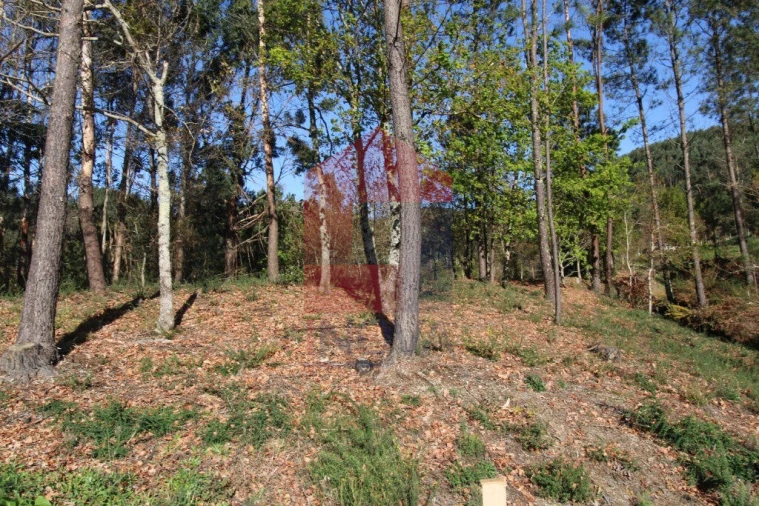 Terreno para Venda em Sande, Vilarinho, Barros e Gomide Foto 7