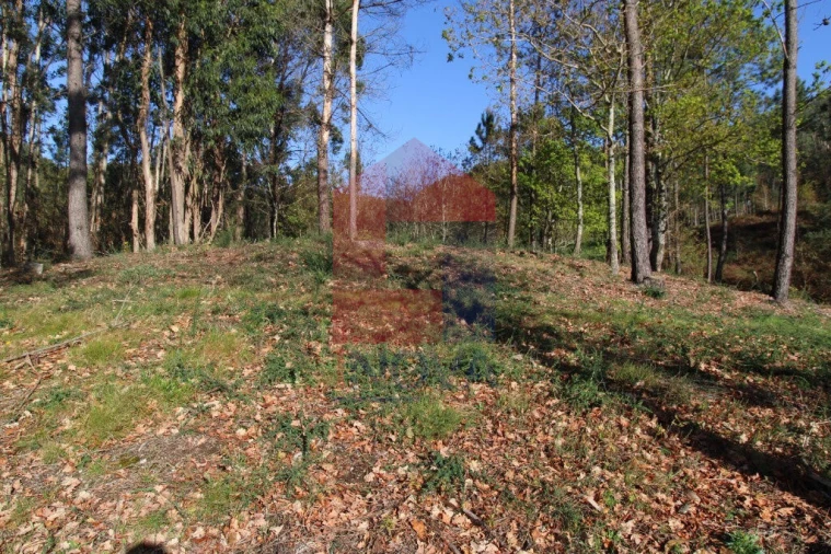 Terreno para Venda em Sande, Vilarinho, Barros e Gomide Foto 11
