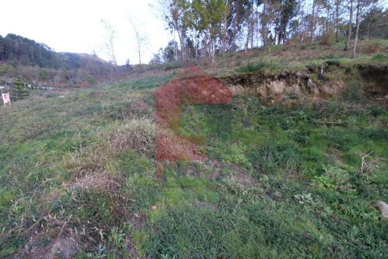 Terreno para Venda em Sande, Vilarinho, Barros e Gomide Foto 37