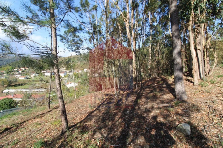 Terreno para Venda em Sande, Vilarinho, Barros e Gomide Foto 14