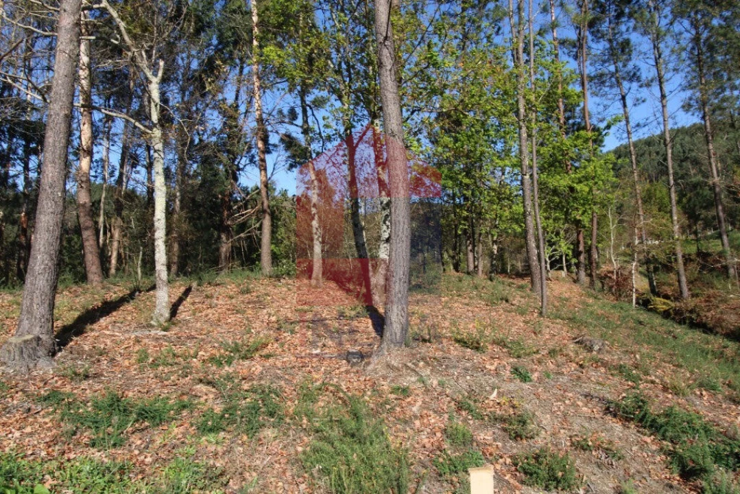 Terreno para Venda em Sande, Vilarinho, Barros e Gomide Foto 7