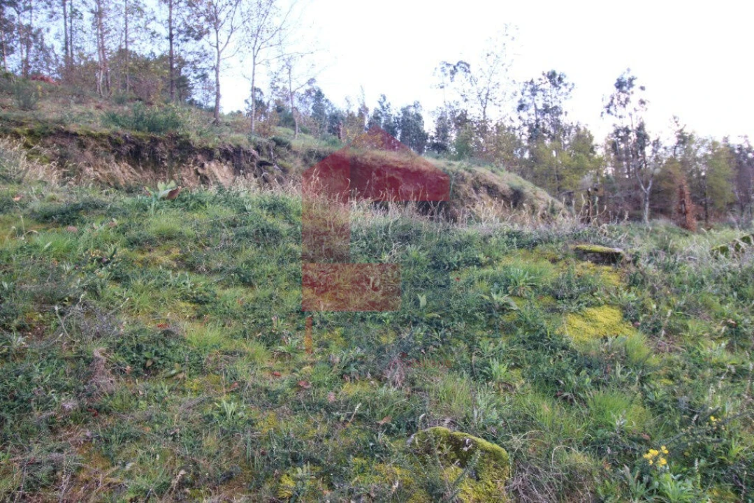Terreno para Venda em Sande, Vilarinho, Barros e Gomide Foto 32