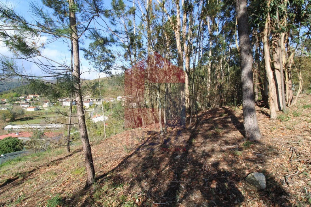 Terreno para Venda em Sande, Vilarinho, Barros e Gomide Foto 14