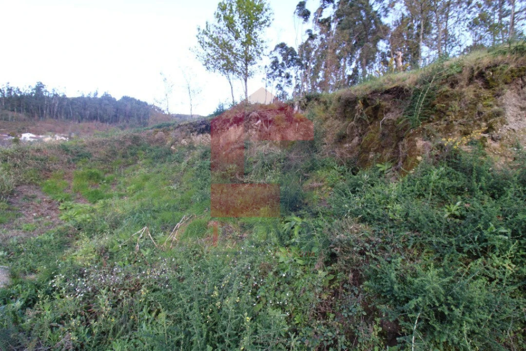 Terreno para Venda em Sande, Vilarinho, Barros e Gomide Foto 38