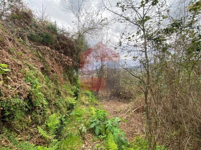 Terreno para Venda em Sande, Vilarinho, Barros e Gomide Foto 12