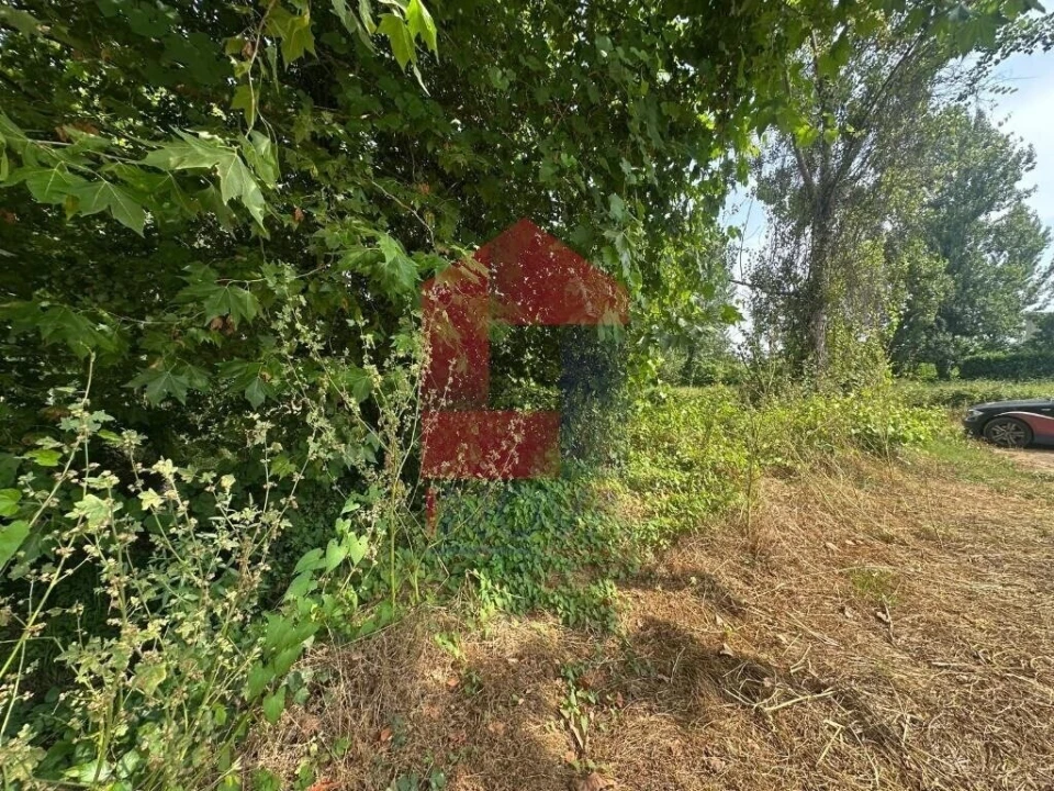 Terreno para Venda em Merelim (São Paio), Panoias e Parada de Tibães Foto 7