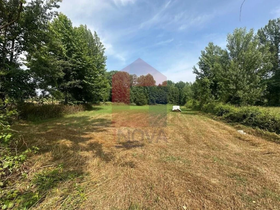 Terreno para Venda em Merelim (São Paio), Panoias e Parada de Tibães Foto 1