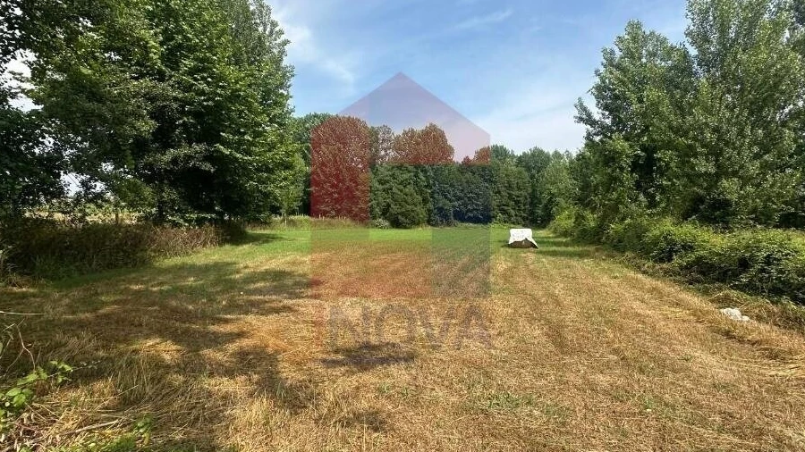 Terreno para Venda em Merelim (São Paio), Panoias e Parada de Tibães
