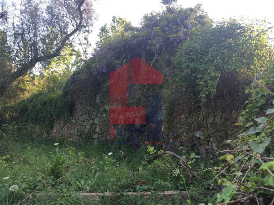 Moradia T1 para Venda em Carreiras (São Miguel) e Carreiras (Santiago) Foto 4