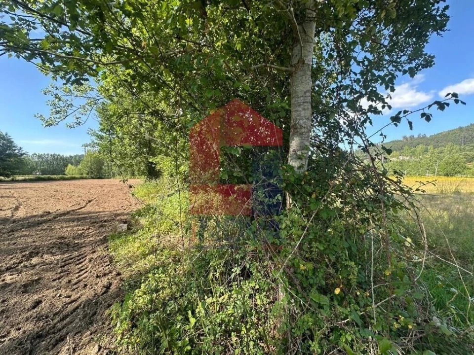 Terreno para Venda em Carreiras (São Miguel) e Carreiras (Santiago) Foto 6